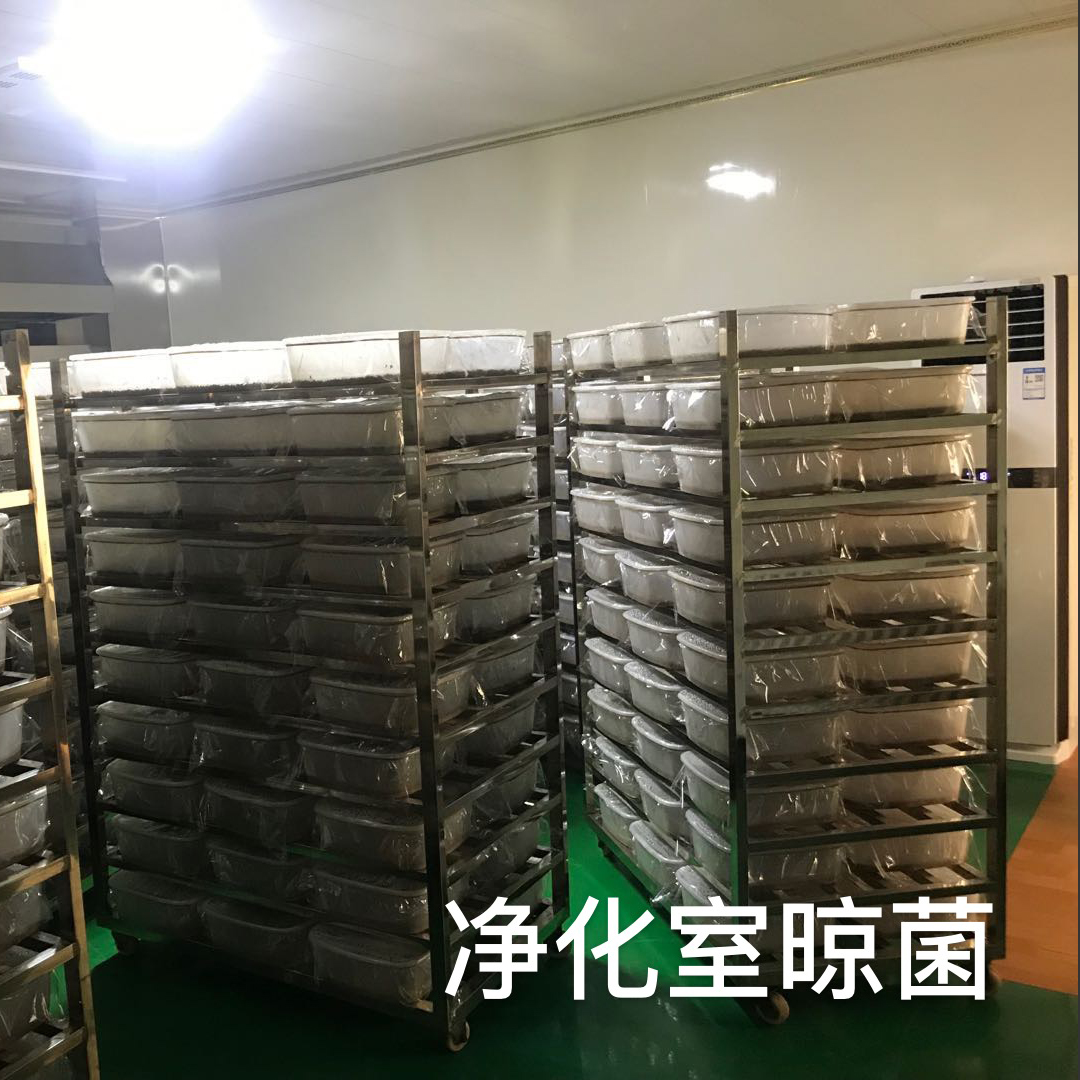 净化室晾菌