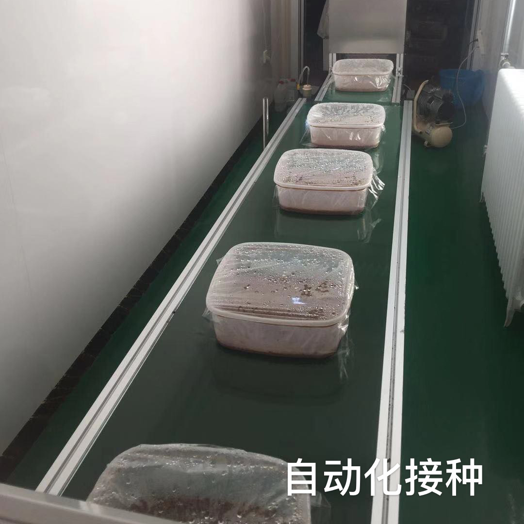 自动化接种