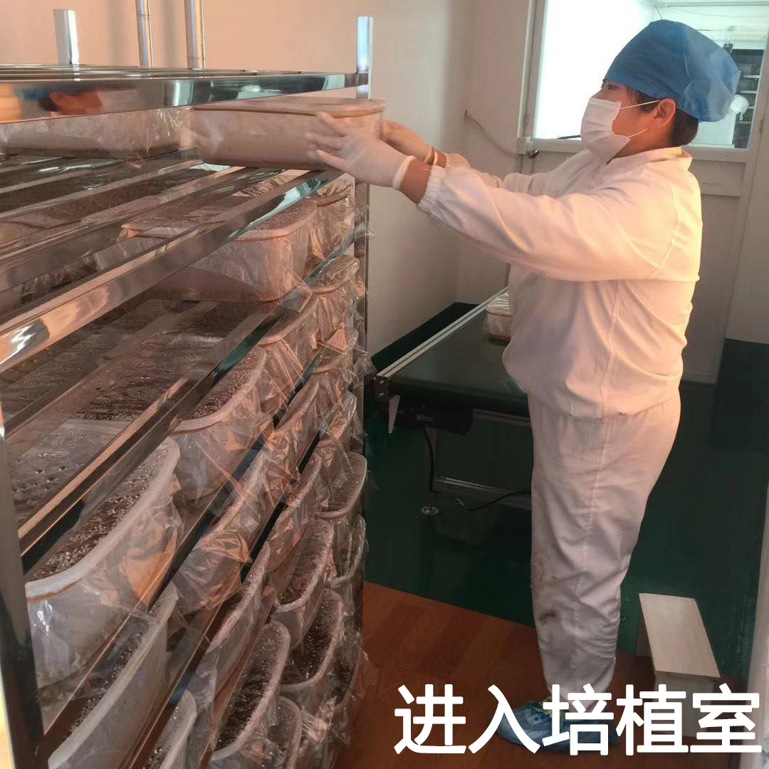 进入培植室