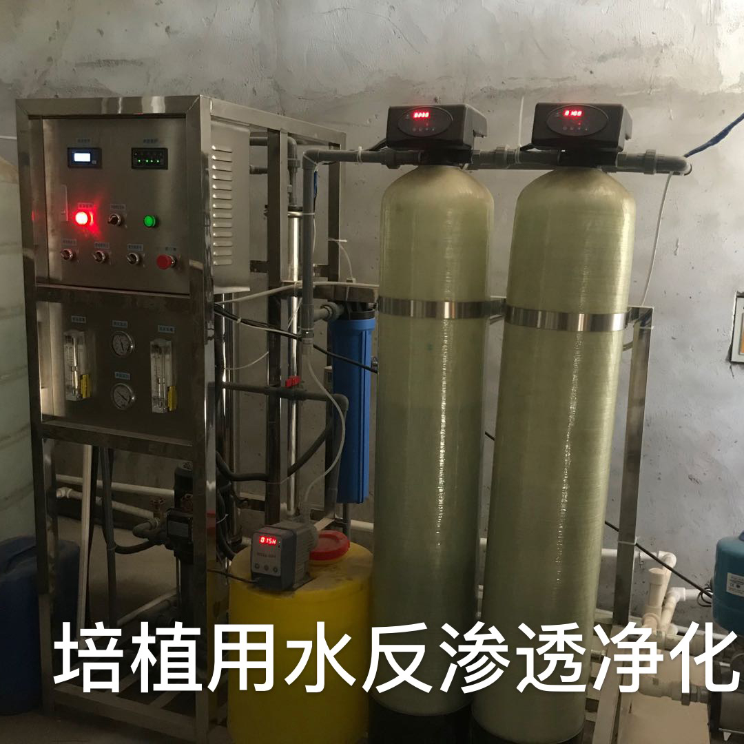 培植用水反渗透净化设备
